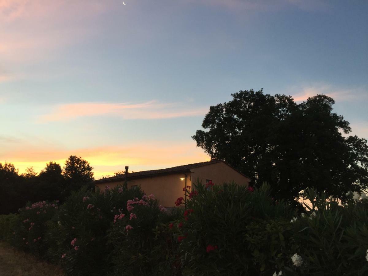 Agriturismo Pieve De Pitti Terricciola Dış mekan fotoğraf