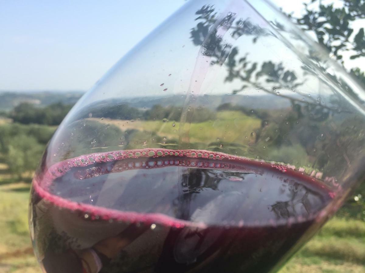 Agriturismo Pieve De Pitti Terricciola Dış mekan fotoğraf