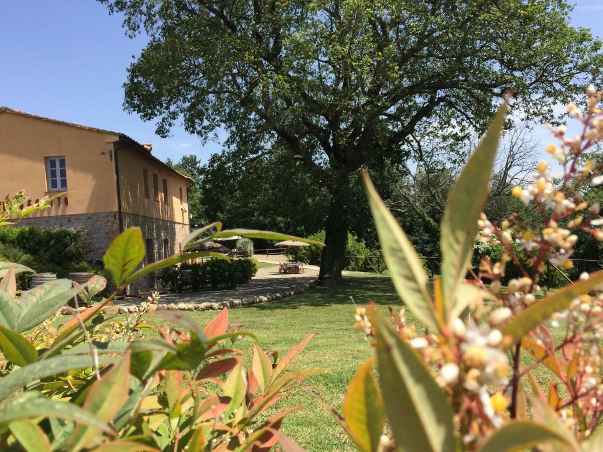 Agriturismo Pieve De Pitti Terricciola Dış mekan fotoğraf