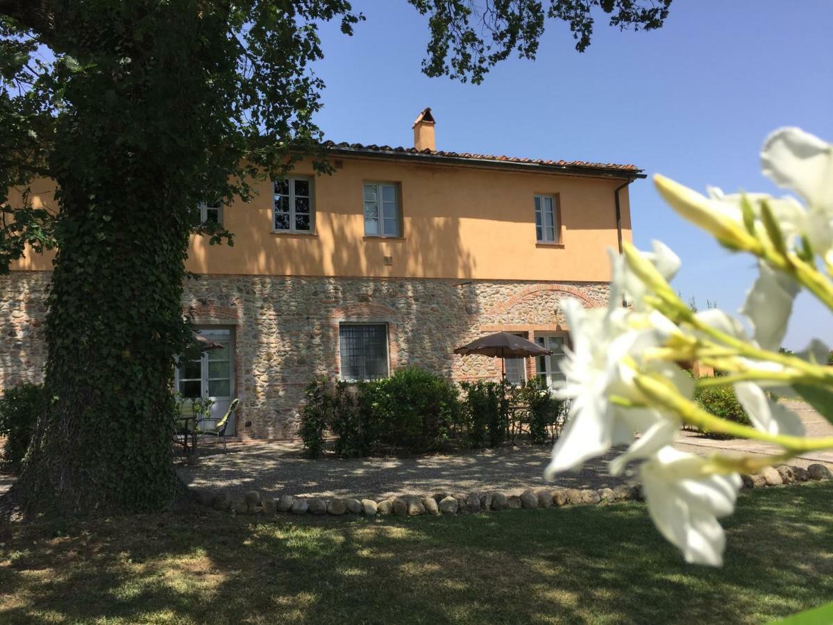Agriturismo Pieve De Pitti Terricciola Dış mekan fotoğraf