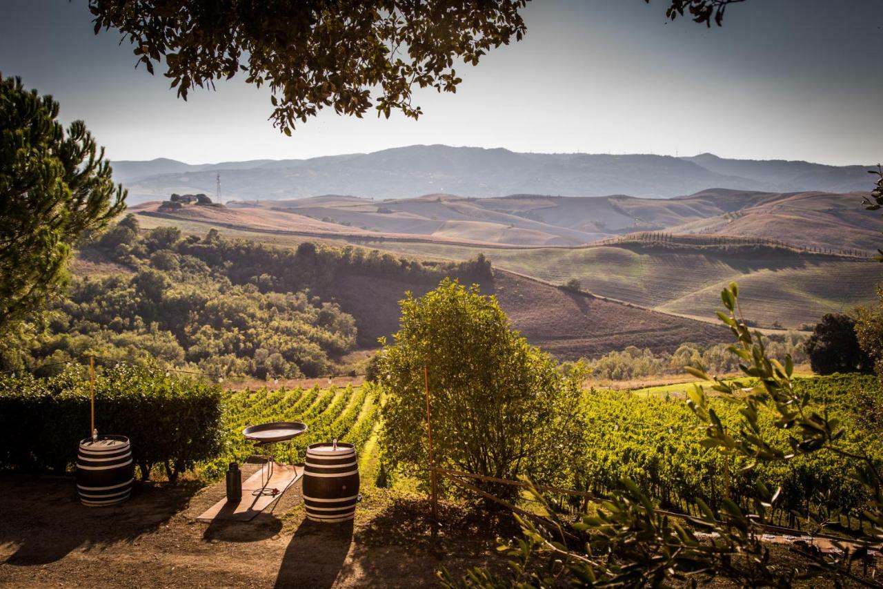 Agriturismo Pieve De Pitti Terricciola Dış mekan fotoğraf
