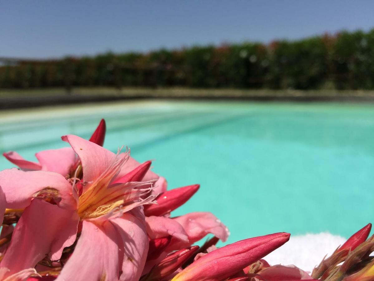 Agriturismo Pieve De Pitti Terricciola Dış mekan fotoğraf