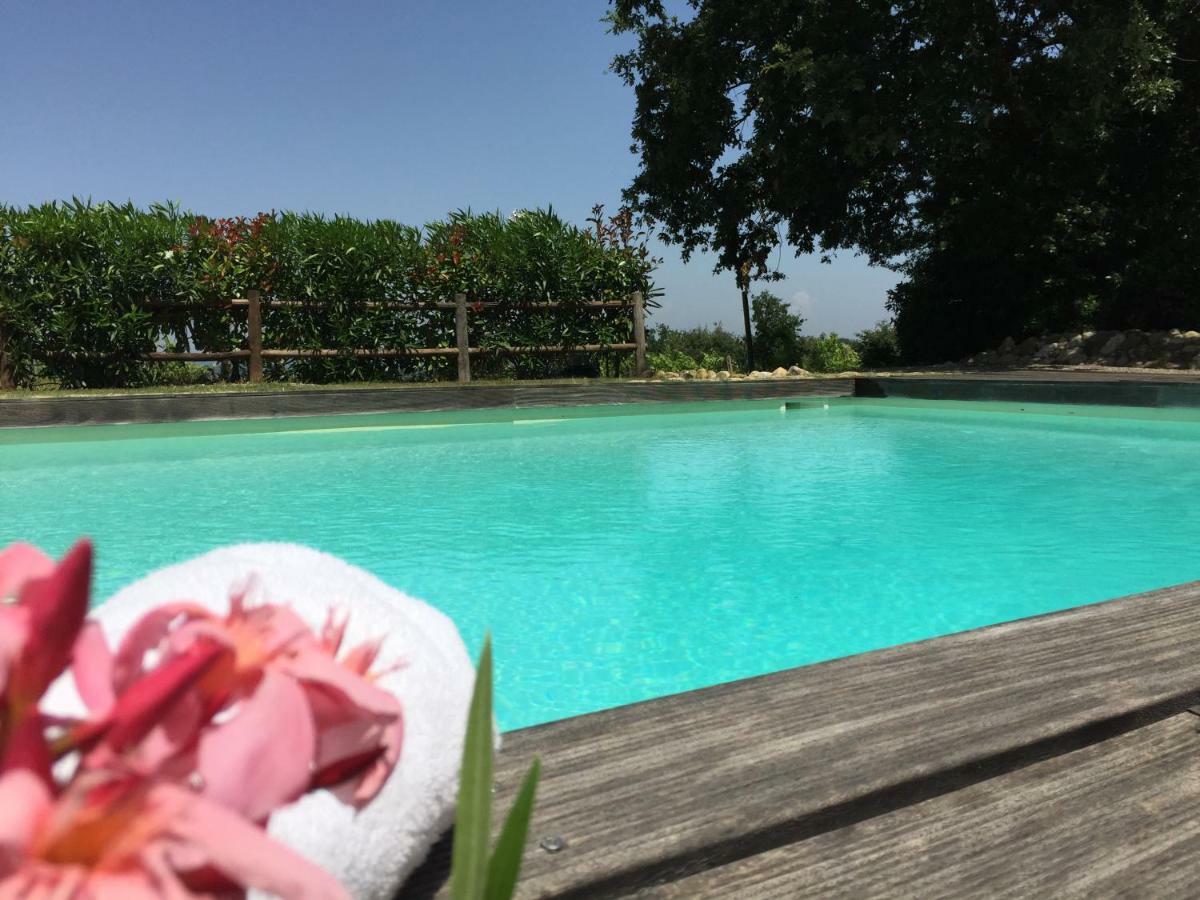 Agriturismo Pieve De Pitti Terricciola Dış mekan fotoğraf